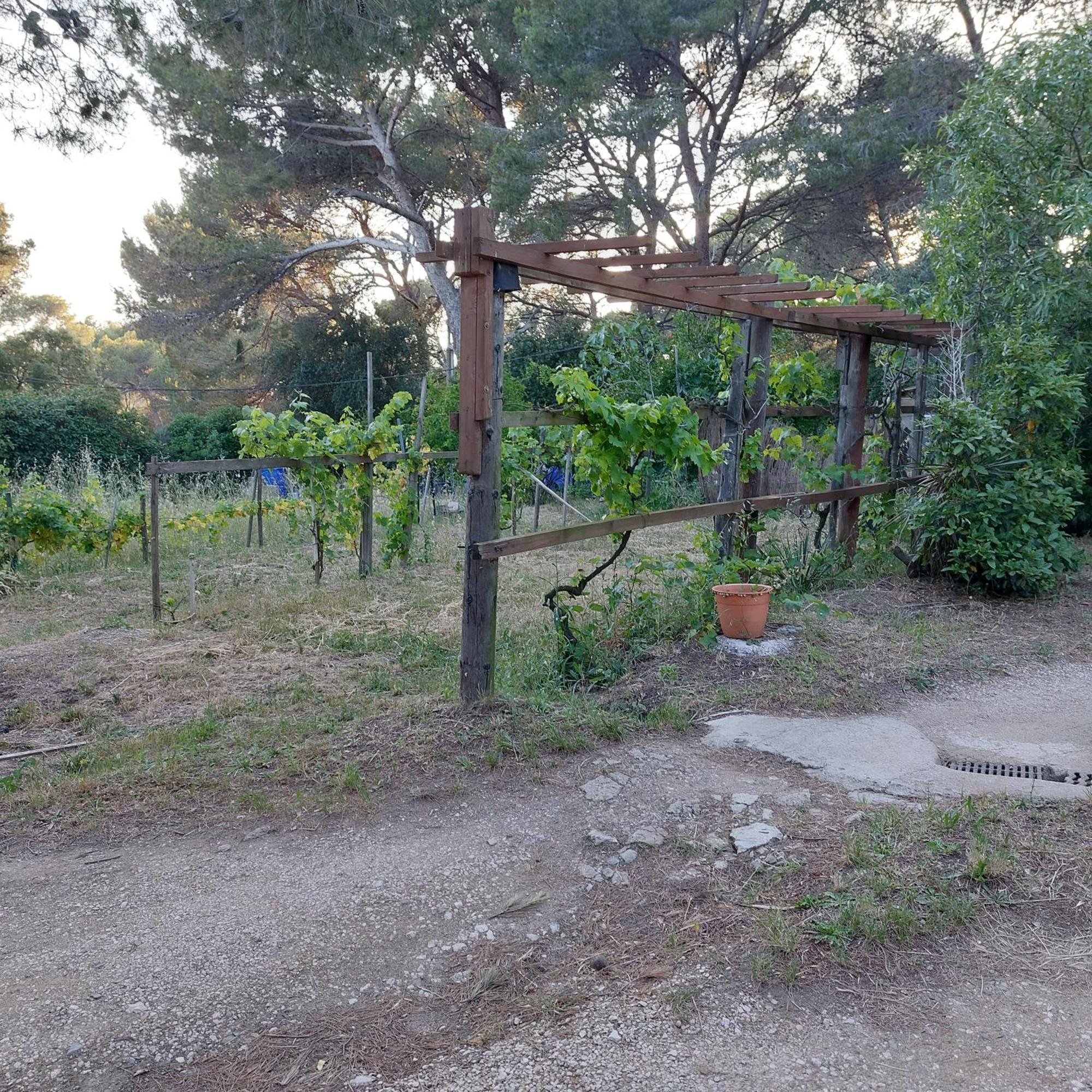 Naturetmer4 Six-Fours-les-Plages Exteriör bild